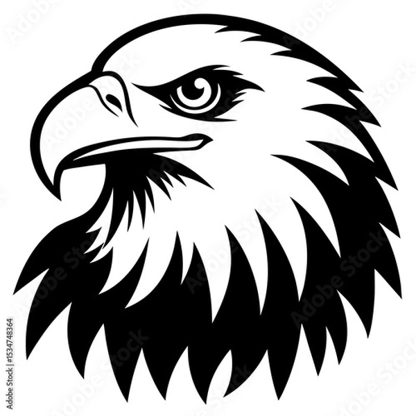 Obraz eagle head vector illustration