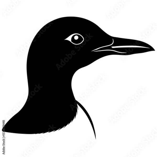 Obraz black duck head