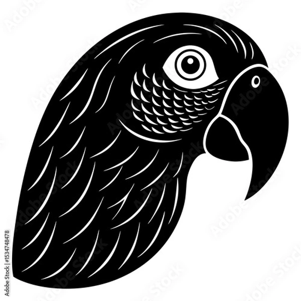 Obraz black and white parrot