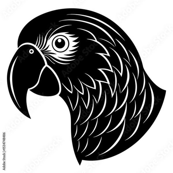 Obraz black and white bird