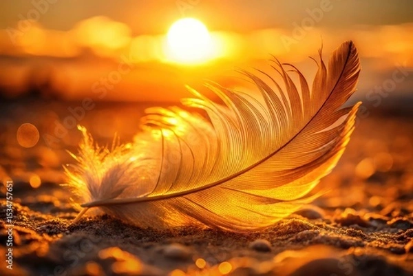 Obraz Golden Hour Feather Portrait Photography: Single Feather, Soft Light, Nature Closeup