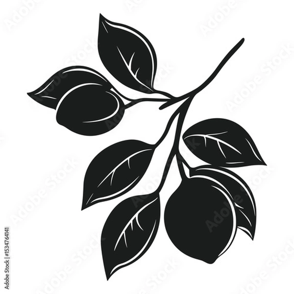 Obraz Collection of Lemon and Lime Silhouettes with Leaves Vector