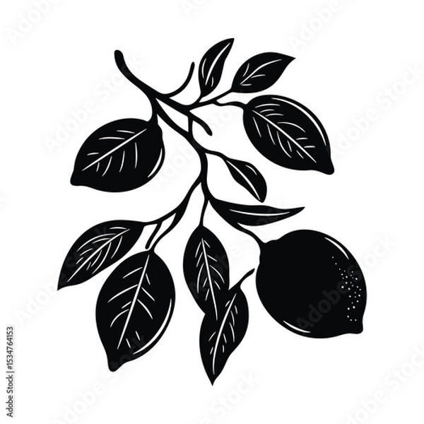 Obraz Lemon Branch Silhouette with Two Fruits and Leaves Vector