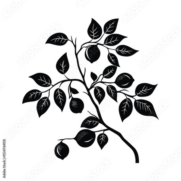 Obraz Lemon and Lime Branch with Leaves - Colorful Citrus Fruit Vector