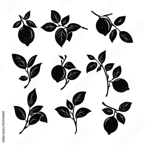 Obraz Collection of Diverse Fruit Branch and Leaf Silhouettes Vector
