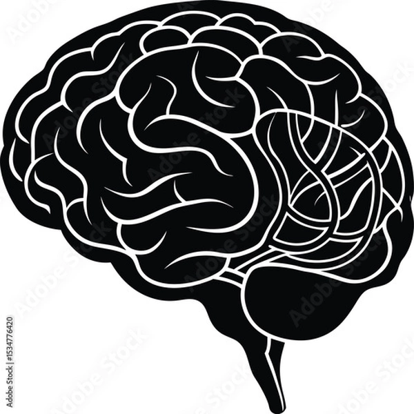 Fototapeta AI brain circuit Vector illustration Yin Yang Brain Circuit with Dual Sides