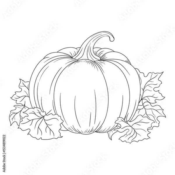 Fototapeta Black and white hand-drawn pumpkin lineart. Ideal for Halloween, Thanksgiving, and fall-themed vector design or print materials.