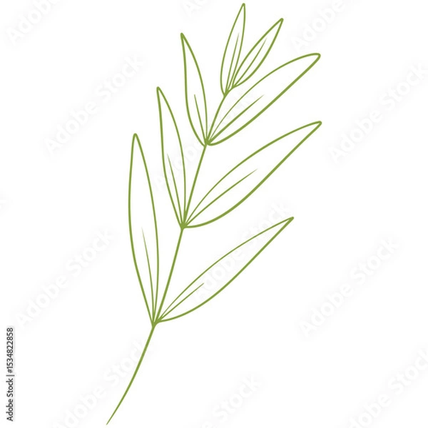Obraz vector illustration of an abstract leaf