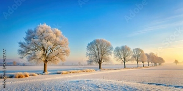 Fototapeta A serene winter landscape with bare trees against a pale blue sky and snow-covered fields in a peaceful countryside setting