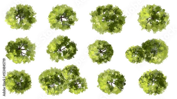 Fototapeta Vertor set of green tree,plants top view for landscape plan,schematic layout,eco environment concept design,watercolor greenery illustration