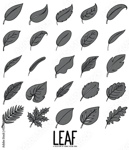 Fototapeta Leaf Doodle vector icon set. Drawing sketch illustration hand drawn line eps10