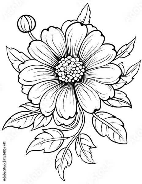 Fototapeta Vector illustration of color pages