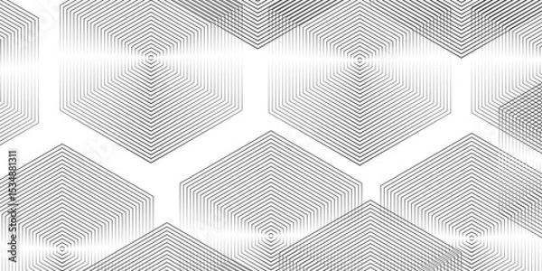Obraz Abstract background wave line elegant white striped diagonal line. Geometric hexagon pattern transparent background with diagonal lines design.