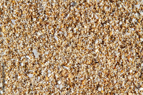 Obraz Sand’s infinite tiny textured universe