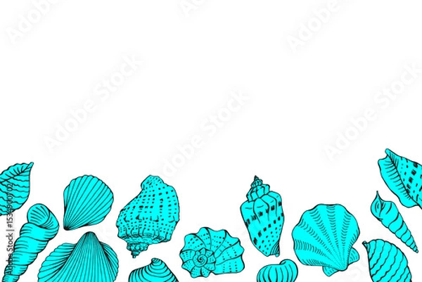 Fototapeta Seashells with copy space for design or message. Hand drawn illustration.