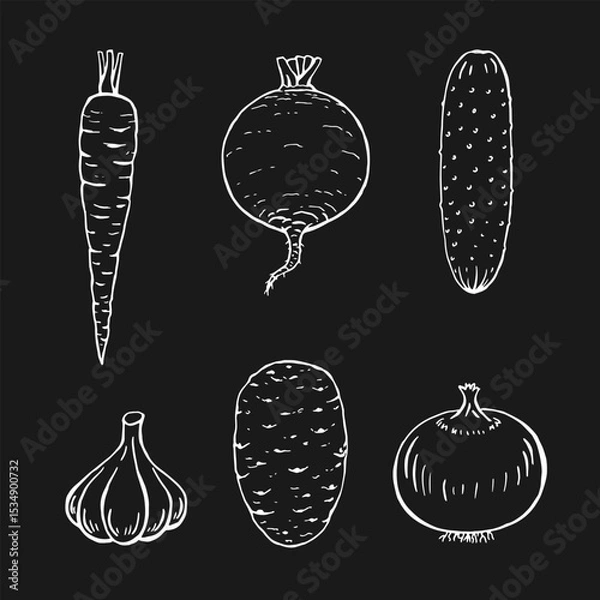 Obraz Set of vegetables. Onion, potato, garlic, cucumber, carrot, beet. Hand drawn vector illustration.