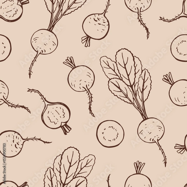Obraz Seamless pattern with radish. Hand drawn vector illustration.