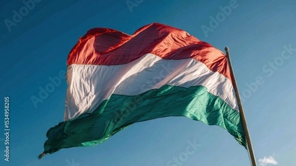 Obraz Tricolor flag waving in front of a clear sky