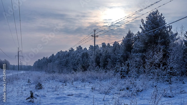 Obraz Dreamy Winter Landscape, snow and sun, surrounded by trees. Lapland, Christmas.
