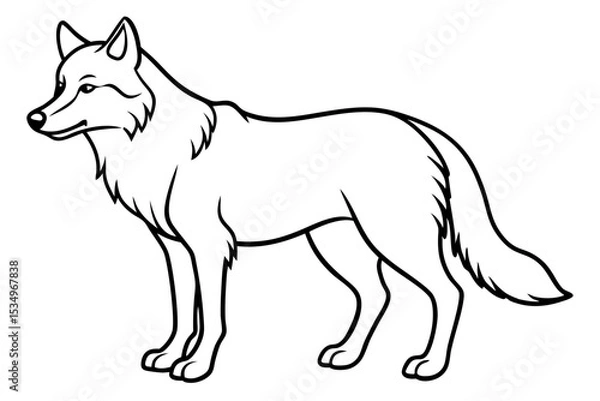 Obraz Wild Wolf Outline