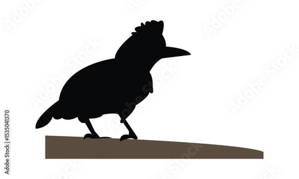Fototapeta Amazonian umbrellabird bird Silhouette Design  And Vector Illustration. 