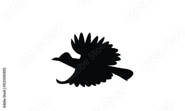 Fototapeta Amazonian umbrellabird bird Silhouette Design  And Vector Illustration. 