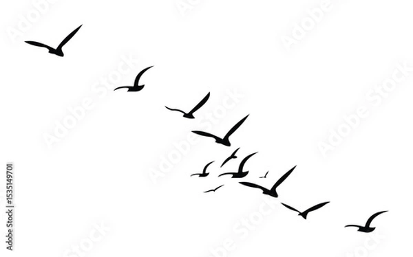 Obraz Birds Silhouette Pattern on White Background