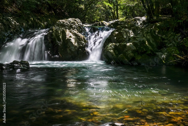 Obraz 新緑の中の渓流と滝