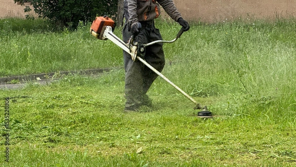 Obraz person using a string trimmer to cut overgrown grass in a green yard
