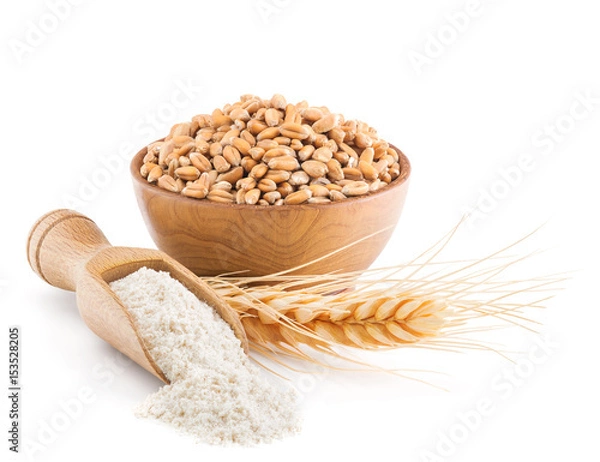 Obraz Whole grain wheat flour isolated on white