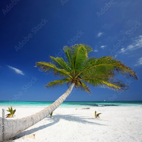 Fototapeta Tropical Haven: A Beautifully Curved Palm Tree Overlooking Sparkling Turquoise Caribbean Waters and Pristine White Sands