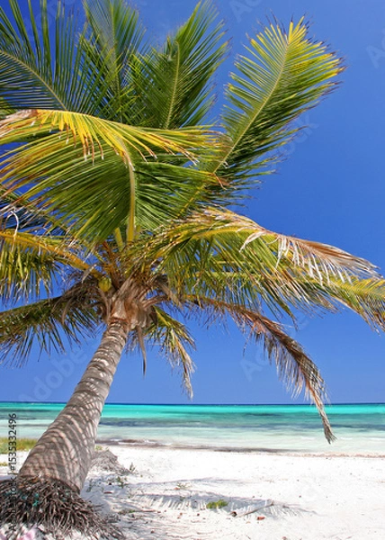Fototapeta Idyllic Caribbean Escape: A Gracefully Curved Palm Tree Overlooking Crystal-Clear Turquoise Waters and Pristine White Sands