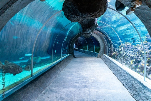 Obraz An empty tunnel under the giant aquarium in the Orientarium at the zoological garden in Lodz