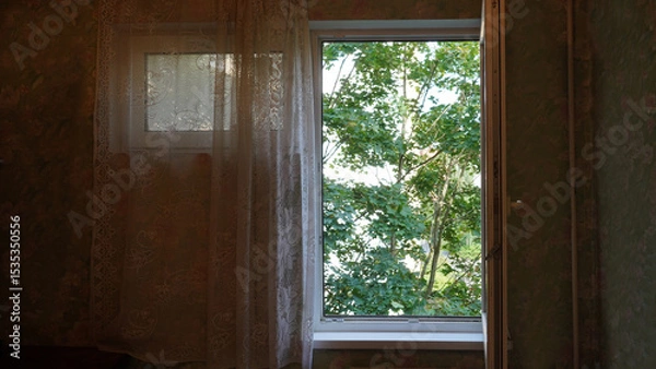 Fototapeta View through the window on green maple tree.