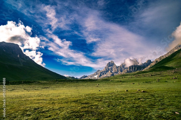 Obraz Mountain landscape with clouds. Panoramic view of Sonmarg, Kashmir valley in the Himalayan region. Serene meadows, alpine trees, wildflowers on the trails of The Great Lake of Kashmir Trek, 2022. 