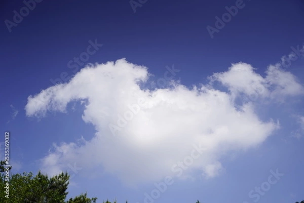 Fototapeta 불암산