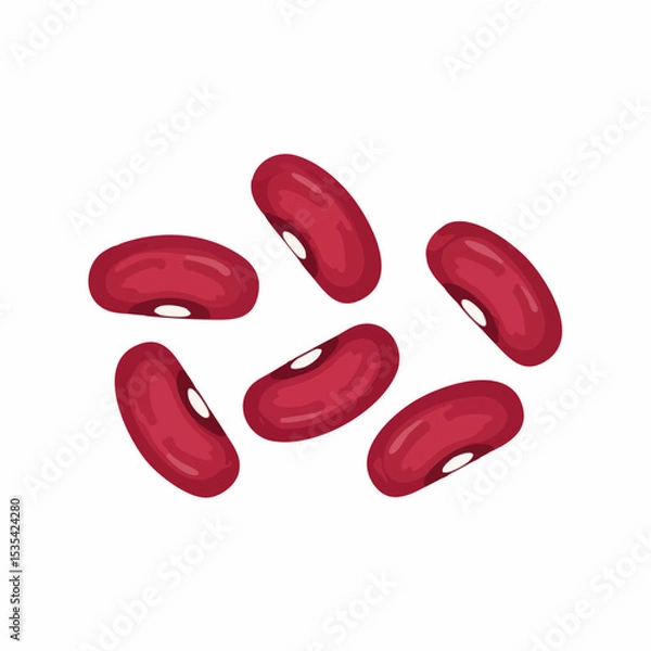 Obraz Kidney Beans ScatteredVector