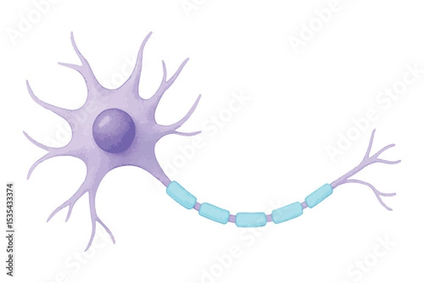 Obraz neuron cell with purple and blue details, diagram of nerve structure with axon and dendrites, brain science, nervous system icon set
