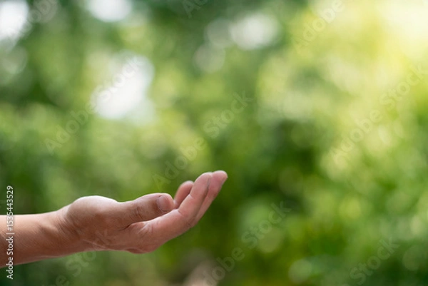 Obraz A hand reaching out against a soft green background, symbolizing connection, guidance, or the act of giving/receiving. Ideal for concepts of nature, help, or interaction.