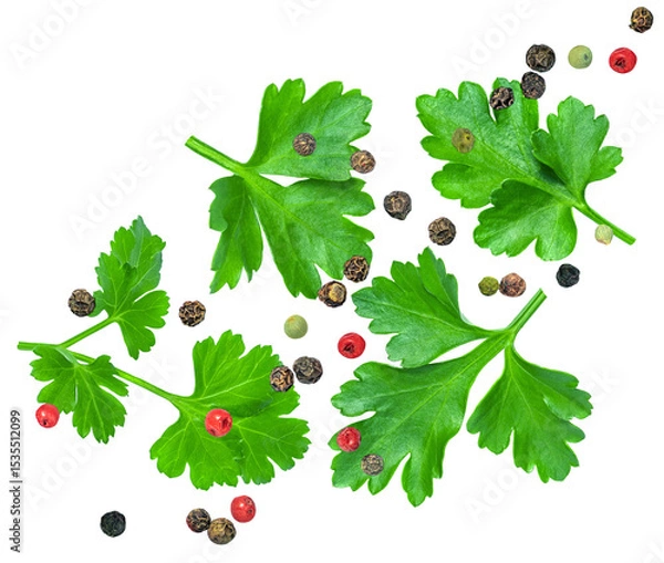 Obraz Levitating Parsley leaves isolated on white. Flying Parsley or Cilantro leaves with pepper spices. Parsley Explosion. Top view. Flat lay. Pattern 