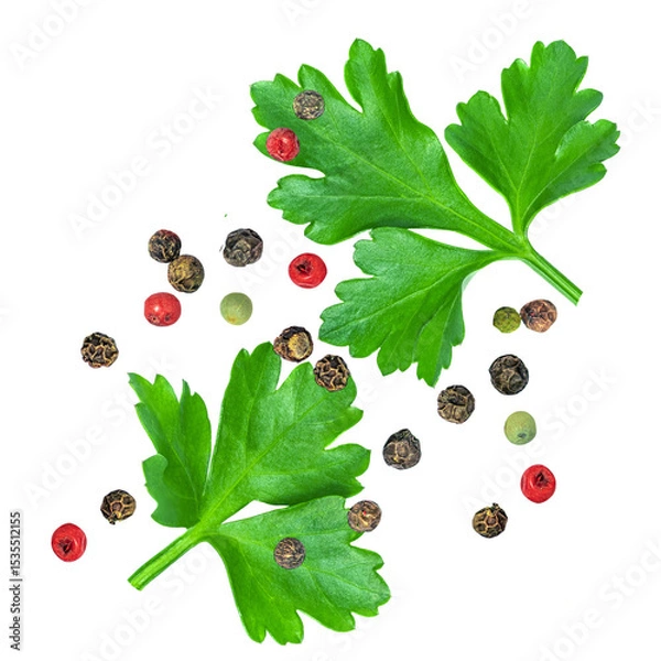 Obraz Levitating Parsley leaves isolated on white. Flying Parsley or Cilantro leaves with pepper spices. Parsley Explosion. Top view. Flat lay. Pattern 