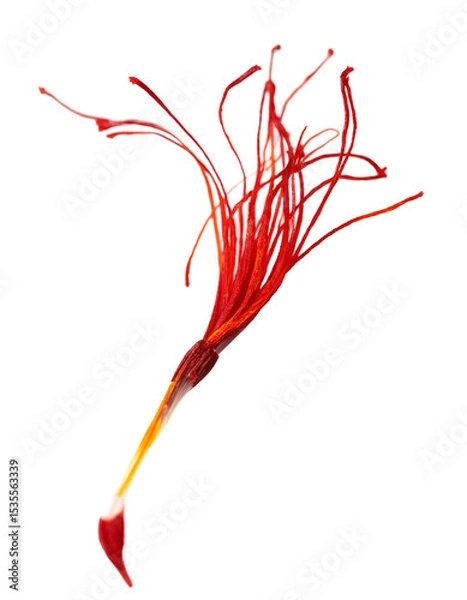 Fototapeta Crimson Saffron threads