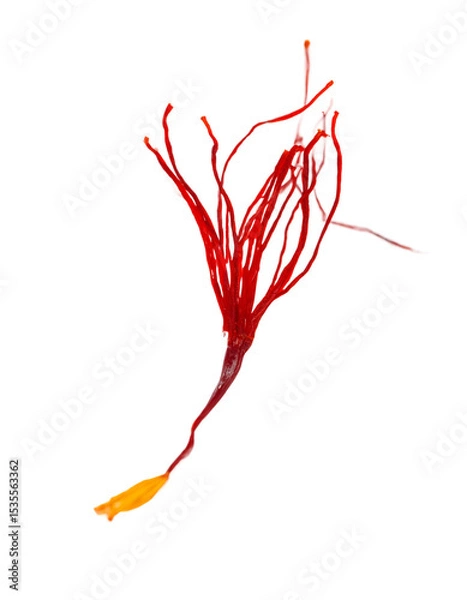 Fototapeta Crimson Saffron Threads