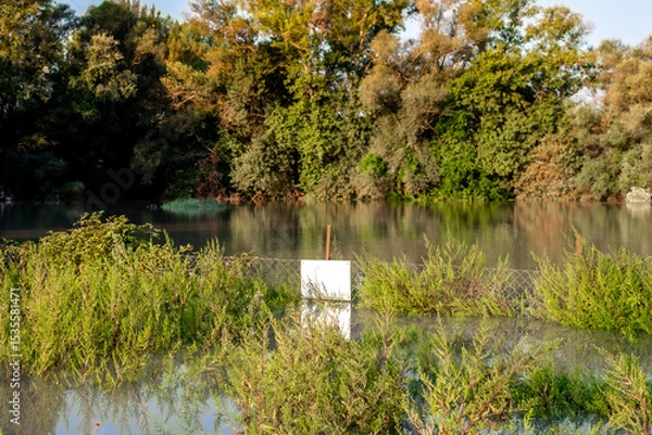 Fototapeta Sunset on a flooded river. flooded area, floodplain