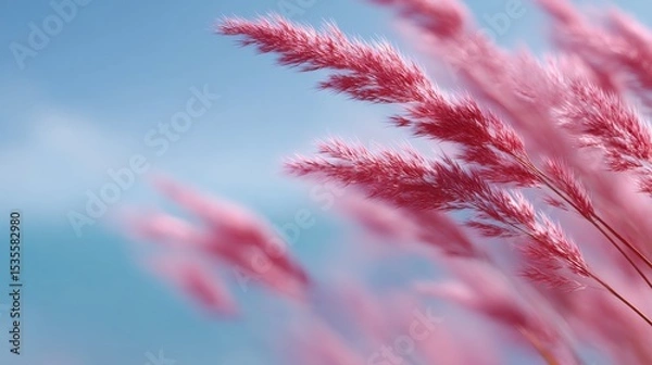 Fototapeta Soft pink grass sways gently in the breeze under a clear blue sky. This serene image evokes peace and beauty in nature. Ideal for calming designs and relaxation themes. AI