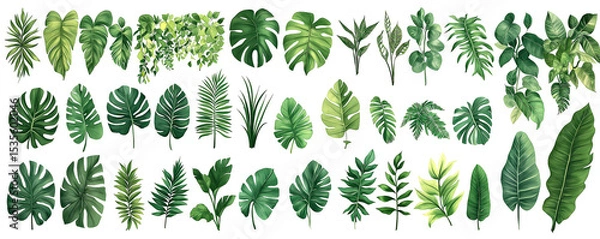 Obraz Collection of illustrated tropical leaves featuring various shapes, sizes, and shades of green on a white background