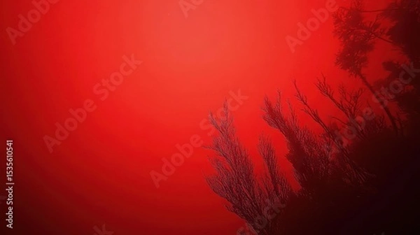Fototapeta Mysterious Underwater Scene with Fiery Red Background and Silhouettes of Aquatic Flora