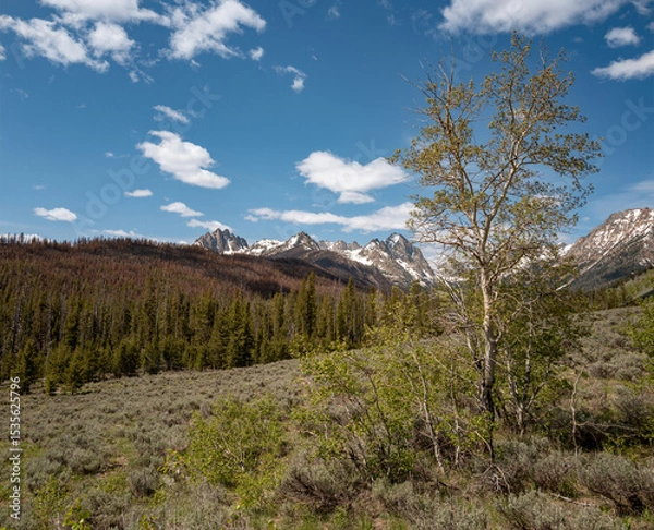 Obraz Beautiful Sawtooth mountains and forested valley