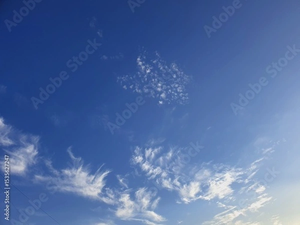 Obraz 스톡사진354