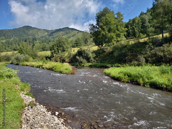 Fototapeta River Cherga in Altai. A river stretch with clear green water.